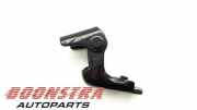 Türscharnier hinten links Renault Clio IV BH 804200003R