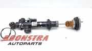 Federbein links hinten BMW 7er F01, F02, F03, F04 10541310
