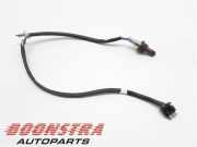 Lambdasonde Jeep Compass MP, M6, MV, M7