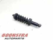 Federbein rechts hinten Audi R8 4S 4S0512019G