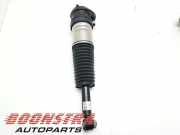 Federbein rechts hinten BMW 5er G60, G68, G90 37105A01D95