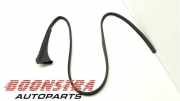 Türgummi links vorne Porsche Taycan Y1A, Y1B SN006751