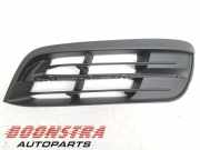 Lüftungsgitter für Stoßfänger BMW 5er F10 11460915