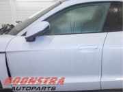 Tür links vorne Porsche Taycan Cross Turismo Y1B 9J1831051Y