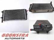 Kühler Audi R8 4S 777162AH6