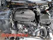 Motor ohne Anbauteile (Benzin) BMW 2er Gran Coupe F44 11005A07713