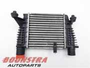 Ladeluftkühler Nissan Juke F15 14461EM00A