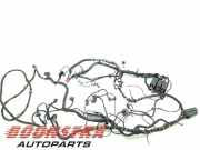 Kabelbaum Ferrari 599 GTB 60673