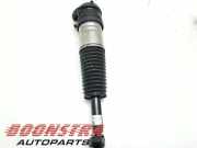 Federbein links hinten BMW 5er G60, G68, G90 37105A01D95