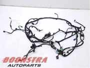 Kabelbaum BMW 5er G60, G68, G90 0004168372