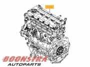 Motor ohne Anbauteile (Diesel) Kia Sportage 3 SL