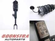 Federbein rechts vorne Alfa Romeo Giulia 952 50557147