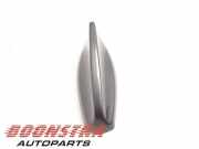 Antenne Dach Jaguar I-Pace X590 R80BA