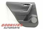 Türverkleidung links hinten Toyota RAV 4 V A5, H5 6764042640C5