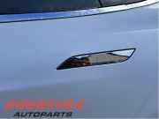 Türgriff links hinten Tesla Model S 5YJS 1030275S0A
