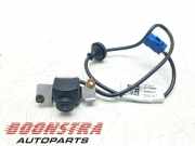 Rückfahrkamera Tesla Model S 5YJS 106126900C