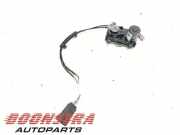 Auslassventil Jaguar F-Pace X761 HK835E218JE