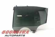 Türscheibe links hinten Tesla Model X 5YJX 43R004553