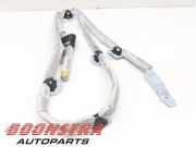 Airbag Dach links Audi A6 4F, C6 4F5880741C