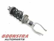 Federbein links vorne Audi R8 4S 4S0412019N