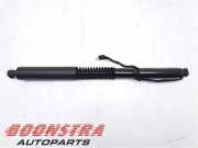 Motor Heckklappe BMW X3 G01, F97 51249482795