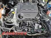 Motor ohne Anbauteile (Benzin) Ford Focus IV HN LX6G6006UA