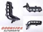 Lüftungsgitter für Stoßfänger BMW X5 G05, F95 10503420