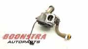 AGR-Ventil Fiat Ducato Kasten 250 0100664