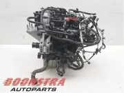 Motor ohne Anbauteile (Benzin) Ford Focus IV HN LX6G6006UA