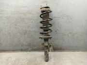 Federbein Stoßdämpfer vorne rechts FORD TRANSIT V363 KASTEN (FCD, FDD) 2.0 TDCI 79 KW