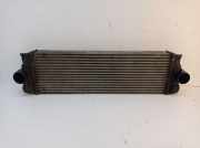 Ladeluftkühler MERCEDES SPRINTER 3-T KASTEN W906 209 CDI 65 KW A9065010101