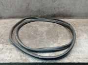 Dichtung Türrahmen Einstieg vorne rechts FORD TRANSIT V363 (FCD, FDD) 2.0 ECOBLUE 96 KW BK31-V20708-CA