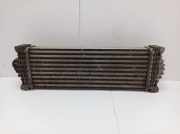 Ladeluftkühler FORD TRANSIT V363 (FCD, FDD) 2.0 ECOBLUE RWD 96 KW GK21-6K775-AE