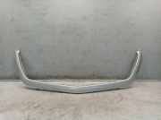 Kühlergrill Grill Frontgrill Rahmen Brillantsilber (MB 9744) MERCEDES SPRINTER 3,5-T KASTEN B906 316 CDI 120 KW