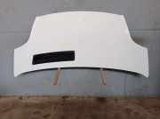 Motorhaube Haube Casablancaweiss (10U) OPEL VIVARO COMBI (J7) 1.9 DTI 74 KW
