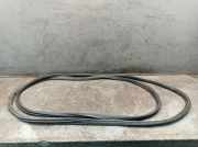 Dichtung Türrahmen Einstieg rechts hinten Schiebetür FORD TRANSIT V363 (FCD, FDD) 2.0 ECOBLUE 96 KW KK31-V253A10-DA