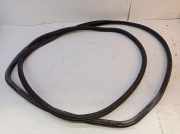 Dichtung Türrahmen Einstieg links hinten MERCEDES SPRINTER 3-T W906 213 CDI 95 KW