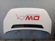 Motorhaube Haube Candyweiss LB9A VW CRAFTER 30-50 KASTEN (2E) 2.0 TDI 80 KW