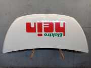 Motorhaube Haube Perlweiss FIAT TALENTO KASTEN (296) 1.6 D 88 KW