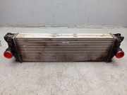 Ladeluftkühler MERCEDES SPRINTER 3-T W906 213 CDI 95 KW A9065010101