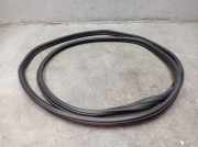 Dichtung Türrahmen Einstieg vorne rechts FORD TRANSIT V363 (FCD, FDD) 2.0 ECOBLUE 96 KW BK31-V20708-CA