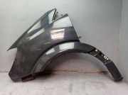 Kotflügel links schwarzgrau 7103 MERCEDES SPRINTER 3-T KASTEN W906 216 CDI 120 KW