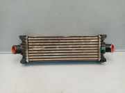 Ladeluftkühler FORD TRANSIT V363 (FCD) 2.2 TDCI RWD 92 KW CC11-9L440-BF