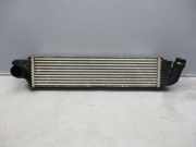 Ladeluftkühler FIAT TALENTO (296_) 1.6 D 92 KW 93868350 144962019R