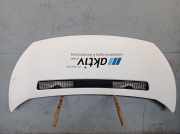 Motorhaube Haube CITROEN JUMPY KASTEN 1.6 HDI 90 16V 66 KW