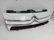 Kühlergrill Grill Frontgrill Weiss EWP CITROEN JUMPY KASTEN 2.0 HDI 125 94 KW 1497645077 1497651077
