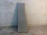 Verkleidung B-Säule links FORD TRANSIT V363 (FCD, FDD) 2.0 TDCI RWD 77 KW BK31-V243W07-ACW