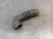 Ansaugschlauch, Luftfilter FORD TRANSIT V363 (FCD, FDD) 2.0 ECOBLUE 96 KW GK21-9R504-AG