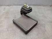 Klimaverdampfer FORD TRANSIT V363 KASTEN (FCD, FDD) 2.0 ECOBL 96 KW BK21-19849-AB