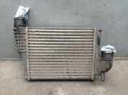 Ladeluftkühler PEUGEOT EXPERT KASTEN (V) 2.0 BLUEHDI 120 90 KW 9806562180